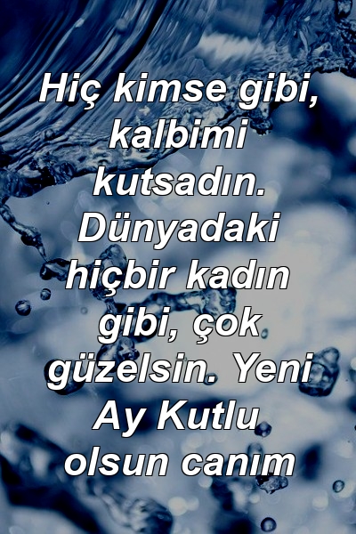 Hiç kimse gibi, kalbimi kutsadın. Dünyadaki hiçbir kadın gibi, çok güzelsin. Yeni Ay Kutlu olsun canım