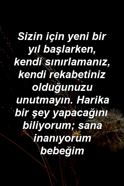 Sizin için yeni bir yıl başlarken, kendi sınırlamanız, kendi rekabetiniz olduğunuzu unutmayın. Harika bir şey yapacağını biliyorum; sana inanıyorum bebeğim