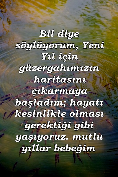 Bil diye söylüyorum, Yeni Yıl için güzergahımızın haritasını çıkarmaya başladım; hayatı kesinlikle olması gerektiği gibi yaşıyoruz. mutlu yıllar bebeğim