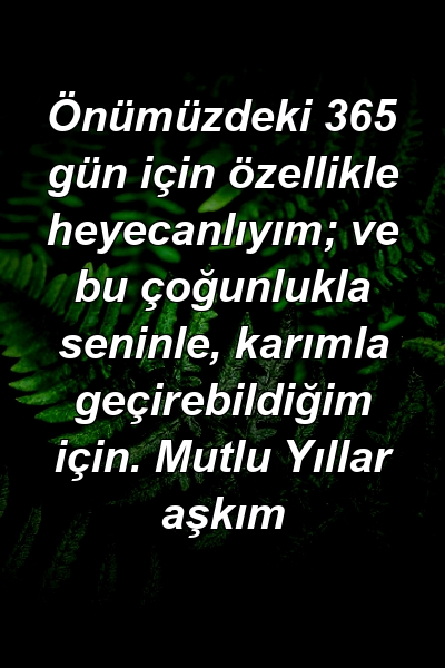 Önümüzdeki 365 gün için özellikle heyecanlıyım; ve bu çoğunlukla seninle, karımla geçirebildiğim için. Mutlu Yıllar aşkım