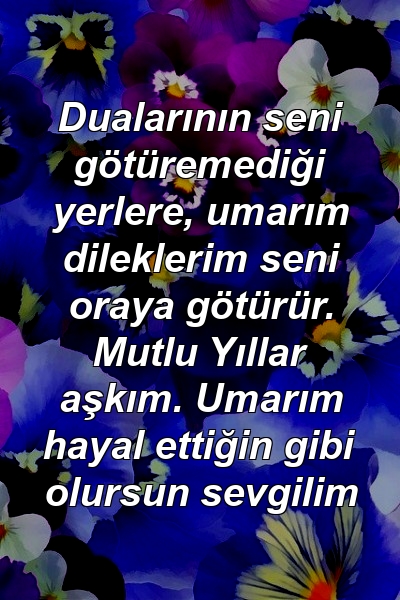 Dualarının seni götüremediği yerlere, umarım dileklerim seni oraya götürür. Mutlu Yıllar aşkım. Umarım hayal ettiğin gibi olursun sevgilim