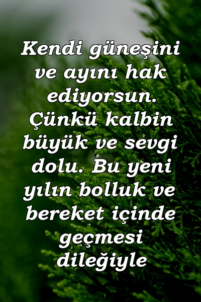 Kendi güneşini ve ayını hak ediyorsun. Çünkü kalbin büyük ve sevgi dolu. Bu yeni yılın bolluk ve bereket içinde geçmesi dileğiyle