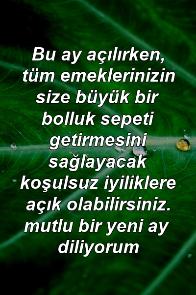 Bu ay açılırken, tüm emeklerinizin size büyük bir bolluk sepeti getirmesini sağlayacak koşulsuz iyiliklere açık olabilirsiniz. mutlu bir yeni ay diliyorum