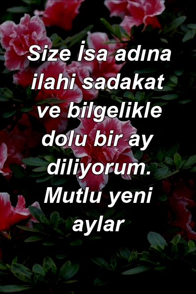 Size İsa adına ilahi sadakat ve bilgelikle dolu bir ay diliyorum. Mutlu yeni aylar