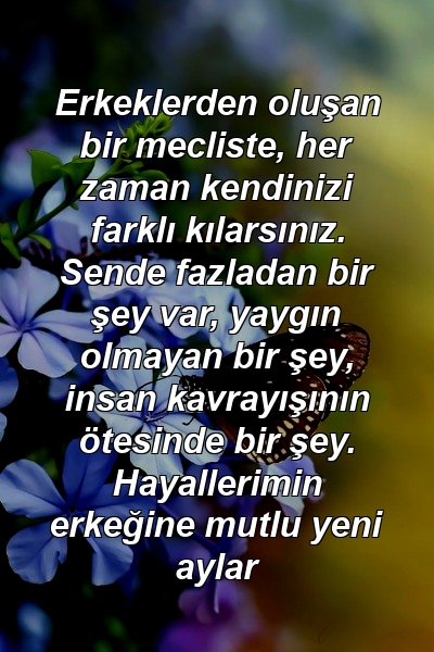 Erkeklerden oluşan bir mecliste, her zaman kendinizi farklı kılarsınız. Sende fazladan bir şey var, yaygın olmayan bir şey, insan kavrayışının ötesinde bir şey. Hayallerimin erkeğine mutlu yeni aylar