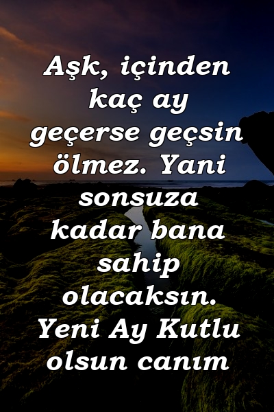 Aşk, içinden kaç ay geçerse geçsin ölmez. Yani sonsuza kadar bana sahip olacaksın. Yeni Ay Kutlu olsun canım