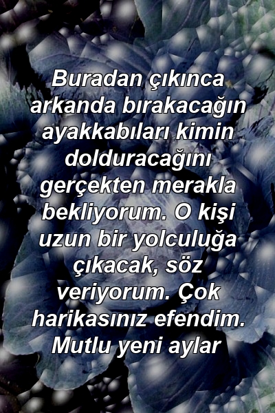 Buradan çıkınca arkanda bırakacağın ayakkabıları kimin dolduracağını gerçekten merakla bekliyorum. O kişi uzun bir yolculuğa çıkacak, söz veriyorum. Çok harikasınız efendim. Mutlu yeni aylar