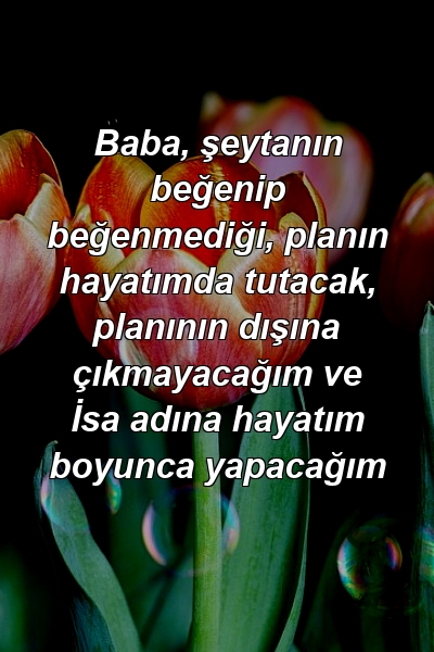 Baba, şeytanın beğenip beğenmediği, planın hayatımda tutacak, planının dışına çıkmayacağım ve İsa adına hayatım boyunca yapacağım