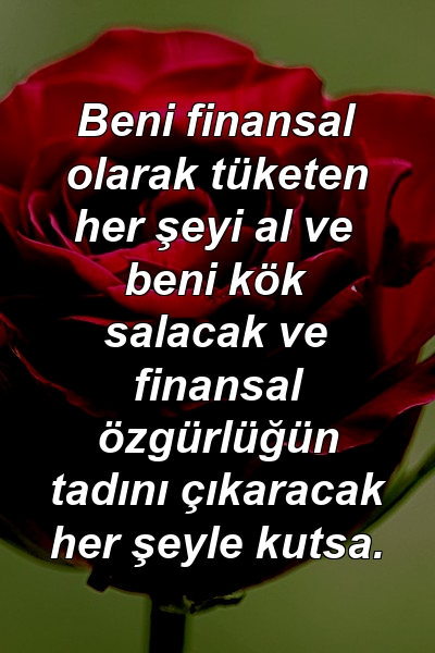 Beni finansal olarak tüketen her şeyi al ve beni kök salacak ve finansal özgürlüğün tadını çıkaracak her şeyle kutsa.