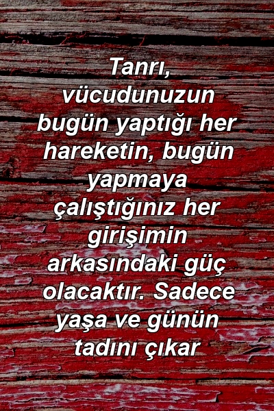 Tanrı, vücudunuzun bugün yaptığı her hareketin, bugün yapmaya çalıştığınız her girişimin arkasındaki güç olacaktır. Sadece yaşa ve günün tadını çıkar