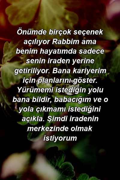 Önümde birçok seçenek açılıyor Rabbim ama benim hayatımda sadece senin iraden yerine getiriliyor. Bana kariyerim için planlarını göster. Yürümemi istediğin yolu bana bildir, babacığım ve o yola çıkmamı istediğini açıkla. Şimdi iradenin merkezinde olmak istiyorum