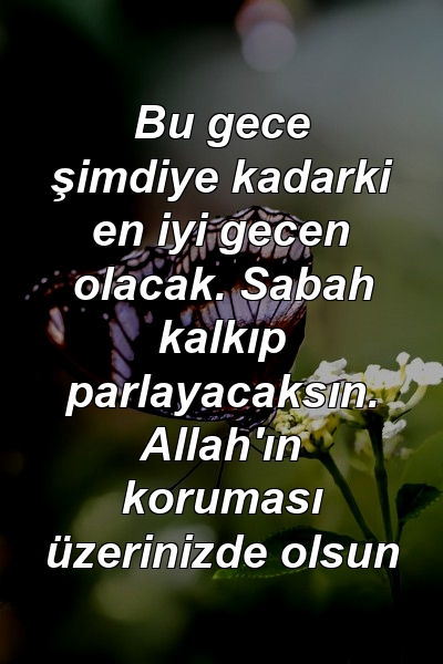 Bu gece şimdiye kadarki en iyi gecen olacak. Sabah kalkıp parlayacaksın. Allah