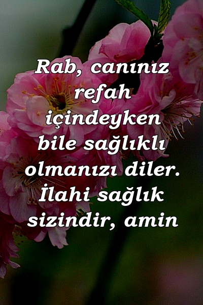 Rab, canınız refah içindeyken bile sağlıklı olmanızı diler. İlahi sağlık sizindir, amin