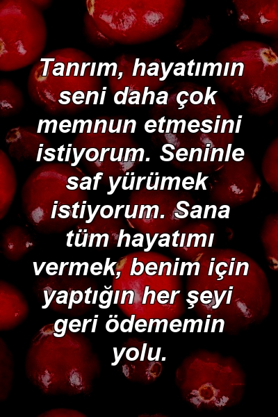 Tanrım, hayatımın seni daha çok memnun etmesini istiyorum. Seninle saf yürümek istiyorum. Sana tüm hayatımı vermek, benim için yaptığın her şeyi geri ödememin yolu.