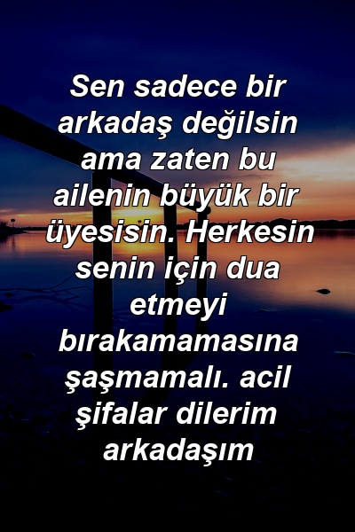 Sen sadece bir arkadaş değilsin ama zaten bu ailenin büyük bir üyesisin. Herkesin senin için dua etmeyi bırakamamasına şaşmamalı. acil şifalar dilerim arkadaşım