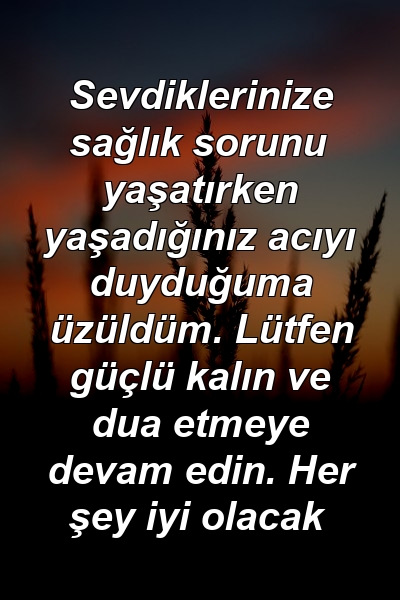 Sevdiklerinize sağlık sorunu yaşatırken yaşadığınız acıyı duyduğuma üzüldüm. Lütfen güçlü kalın ve dua etmeye devam edin. Her şey iyi olacak