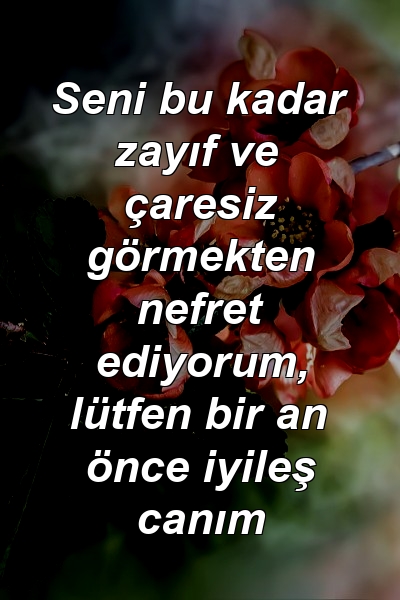 Seni bu kadar zayıf ve çaresiz görmekten nefret ediyorum, lütfen bir an önce iyileş canım