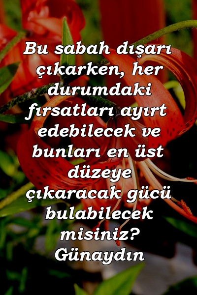 Bu sabah dışarı çıkarken, her durumdaki fırsatları ayırt edebilecek ve bunları en üst düzeye çıkaracak gücü bulabilecek misiniz? Günaydın