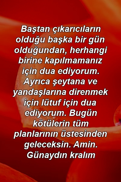 Baştan çıkarıcıların olduğu başka bir gün olduğundan, herhangi birine kapılmamanız için dua ediyorum. Ayrıca şeytana ve yandaşlarına direnmek için lütuf için dua ediyorum. Bugün kötülerin tüm planlarının üstesinden geleceksin. Amin. Günaydın kralım