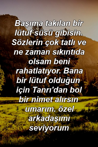 Başıma takılan bir lütuf süsü gibisin. Sözlerin çok tatlı ve ne zaman sıkıntıda olsam beni rahatlatıyor. Bana bir lütuf olduğun için Tanrı