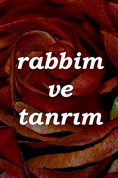 rabbim ve tanrım