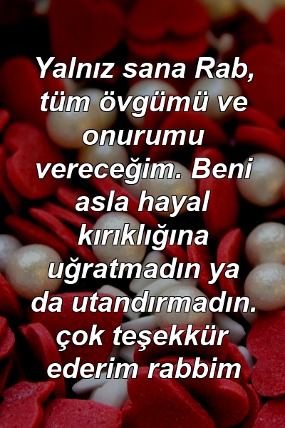 Yalnız sana Rab, tüm övgümü ve onurumu vereceğim. Beni asla hayal kırıklığına uğratmadın ya da utandırmadın. çok teşekkür ederim rabbim