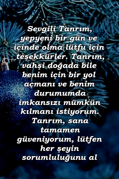 Sevgili Tanrım, yepyeni bir gün ve içinde olma lütfu için teşekkürler. Tanrım, vahşi doğada bile benim için bir yol açmanı ve benim durumumda imkansızı mümkün kılmanı istiyorum. Tanrım, sana tamamen güveniyorum, lütfen her şeyin sorumluluğunu al