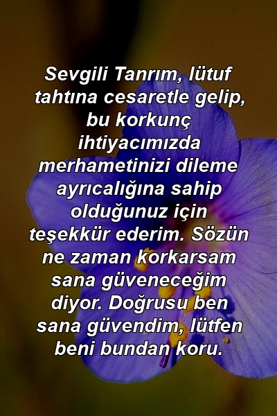 Sevgili Tanrım, lütuf tahtına cesaretle gelip, bu korkunç ihtiyacımızda merhametinizi dileme ayrıcalığına sahip olduğunuz için teşekkür ederim. Sözün ne zaman korkarsam sana güveneceğim diyor. Doğrusu ben sana güvendim, lütfen beni bundan koru.