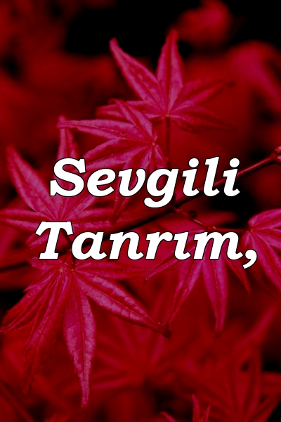 Sevgili Tanrım,