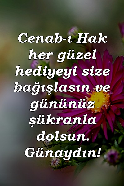 Cenab-ı Hak her güzel hediyeyi size bağışlasın ve gününüz şükranla dolsun. Günaydın!