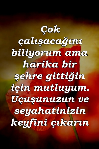 Çok çalışacağını biliyorum ama harika bir şehre gittiğin için mutluyum. Uçuşunuzun ve seyahatinizin keyfini çıkarın