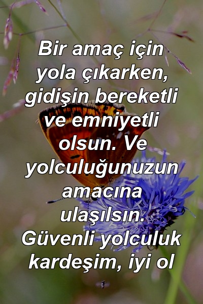 Bir amaç için yola çıkarken, gidişin bereketli ve emniyetli olsun. Ve yolculuğunuzun amacına ulaşılsın. Güvenli yolculuk kardeşim, iyi ol