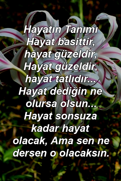 Hayatın Tanımı Hayat basittir, hayat güzeldir, Hayat güzeldir, hayat tatlıdır... Hayat dediğin ne olursa olsun... Hayat sonsuza kadar hayat olacak, Ama sen ne dersen o olacaksın.