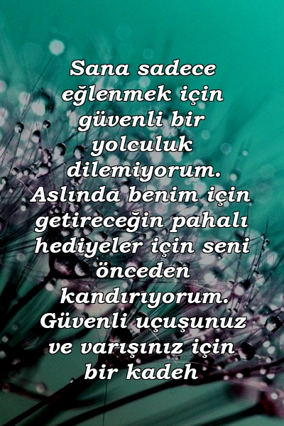 Sana sadece eğlenmek için güvenli bir yolculuk dilemiyorum. Aslında benim için getireceğin pahalı hediyeler için seni önceden kandırıyorum. Güvenli uçuşunuz ve varışınız için bir kadeh