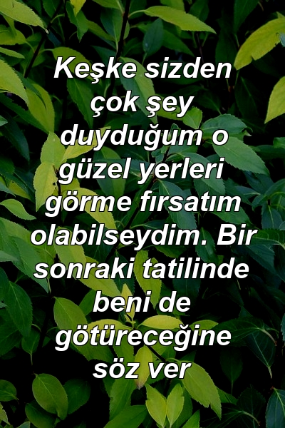 Keşke sizden çok şey duyduğum o güzel yerleri görme fırsatım olabilseydim. Bir sonraki tatilinde beni de götüreceğine söz ver