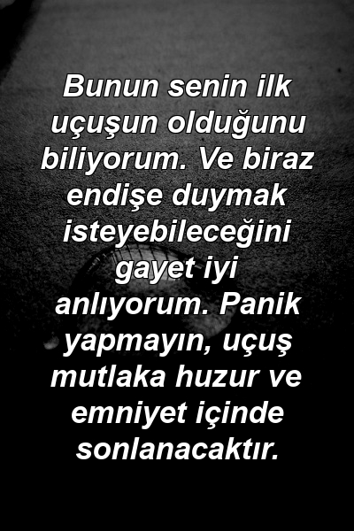 Bunun senin ilk uçuşun olduğunu biliyorum. Ve biraz endişe duymak isteyebileceğini gayet iyi anlıyorum. Panik yapmayın, uçuş mutlaka huzur ve emniyet içinde sonlanacaktır.