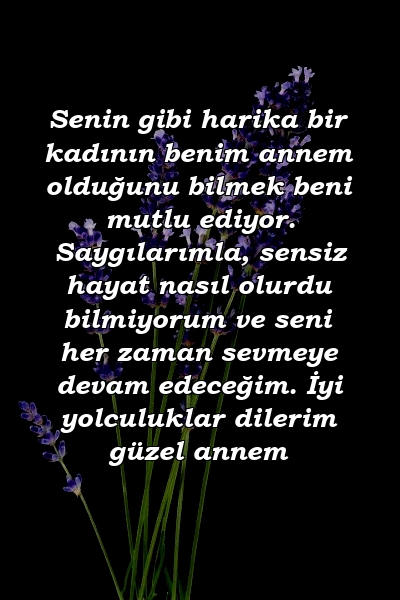 Senin gibi harika bir kadının benim annem olduğunu bilmek beni mutlu ediyor. Saygılarımla, sensiz hayat nasıl olurdu bilmiyorum ve seni her zaman sevmeye devam edeceğim. İyi yolculuklar dilerim güzel annem