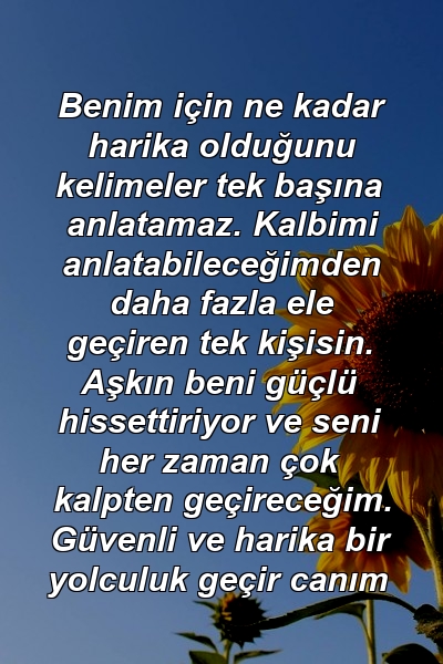 Benim için ne kadar harika olduğunu kelimeler tek başına anlatamaz. Kalbimi anlatabileceğimden daha fazla ele geçiren tek kişisin. Aşkın beni güçlü hissettiriyor ve seni her zaman çok kalpten geçireceğim. Güvenli ve harika bir yolculuk geçir canım