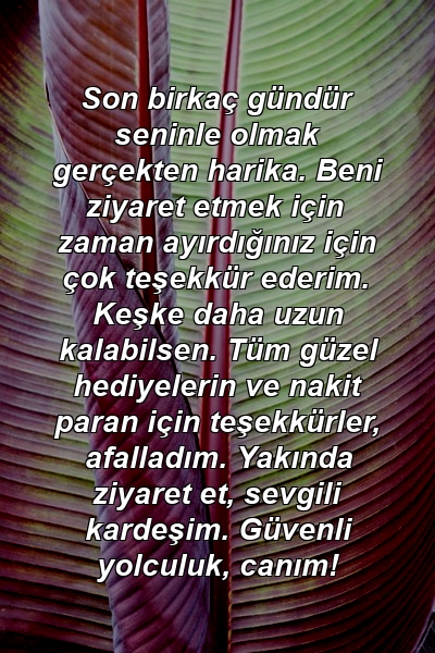 Son birkaç gündür seninle olmak gerçekten harika. Beni ziyaret etmek için zaman ayırdığınız için çok teşekkür ederim. Keşke daha uzun kalabilsen. Tüm güzel hediyelerin ve nakit paran için teşekkürler, afalladım. Yakında ziyaret et, sevgili kardeşim. Güvenli yolculuk, canım!