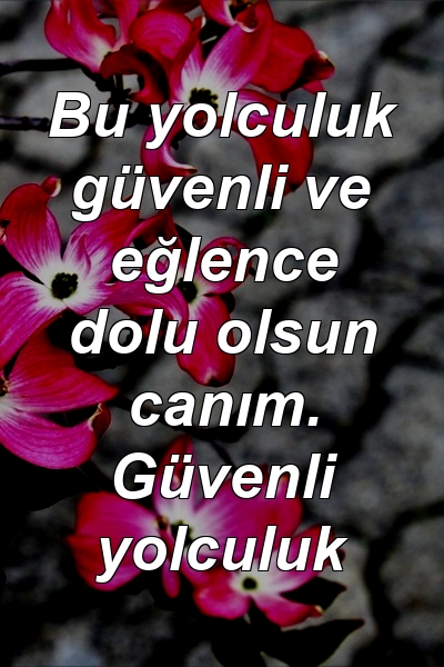 Bu yolculuk güvenli ve eğlence dolu olsun canım. Güvenli yolculuk