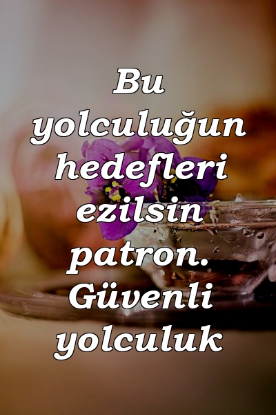 Bu yolculuğun hedefleri ezilsin patron. Güvenli yolculuk