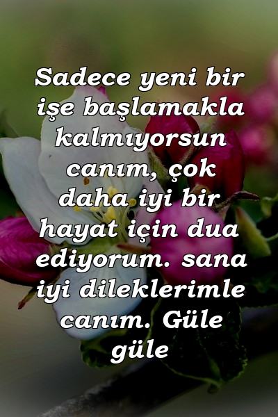 Sadece yeni bir işe başlamakla kalmıyorsun canım, çok daha iyi bir hayat için dua ediyorum. sana iyi dileklerimle canım. Güle güle