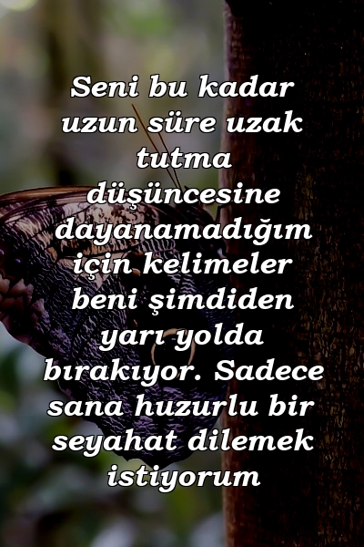 Seni bu kadar uzun süre uzak tutma düşüncesine dayanamadığım için kelimeler beni şimdiden yarı yolda bırakıyor. Sadece sana huzurlu bir seyahat dilemek istiyorum