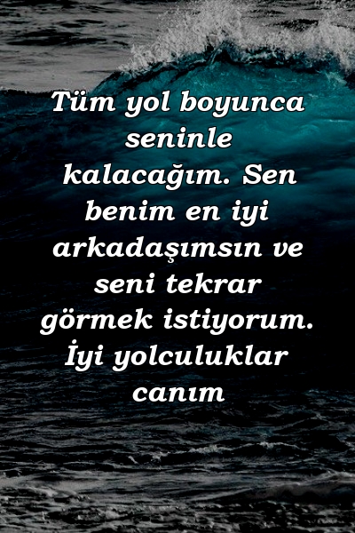 Tüm yol boyunca seninle kalacağım. Sen benim en iyi arkadaşımsın ve seni tekrar görmek istiyorum. İyi yolculuklar canım