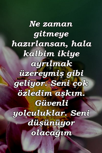 Ne zaman gitmeye hazırlansan, hala kalbim ikiye ayrılmak üzereymiş gibi geliyor. Seni çok özledim aşkım. Güvenli yolculuklar. Seni düşünüyor olacağım