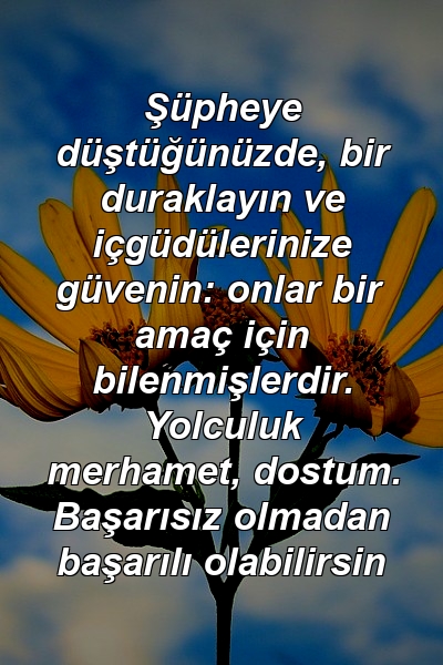 Şüpheye düştüğünüzde, bir duraklayın ve içgüdülerinize güvenin: onlar bir amaç için bilenmişlerdir. Yolculuk merhamet, dostum. Başarısız olmadan başarılı olabilirsin