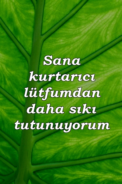 Sana kurtarıcı lütfumdan daha sıkı tutunuyorum