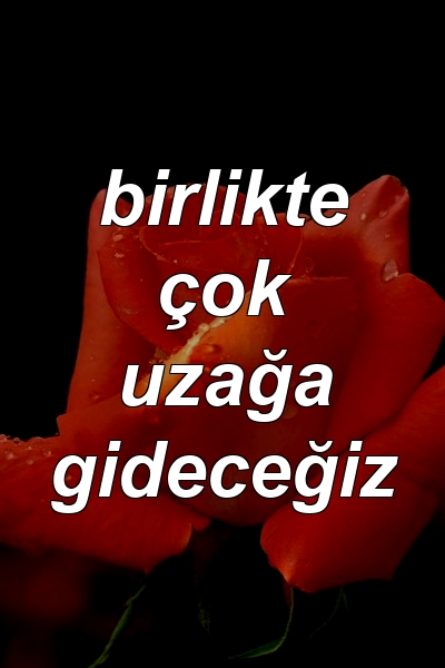 birlikte çok uzağa gideceğiz