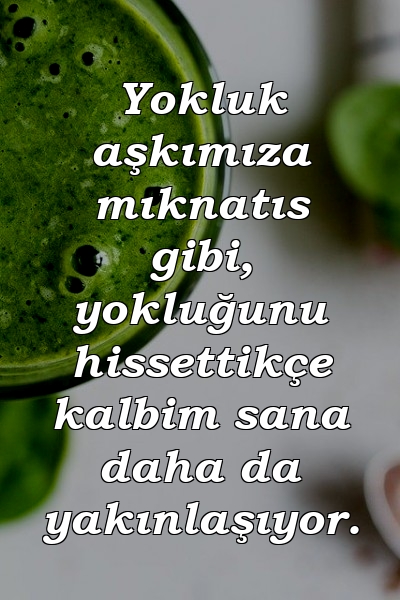 Yokluk aşkımıza mıknatıs gibi, yokluğunu hissettikçe kalbim sana daha da yakınlaşıyor.