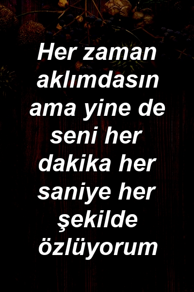 Her zaman aklımdasın ama yine de seni her dakika her saniye her şekilde özlüyorum